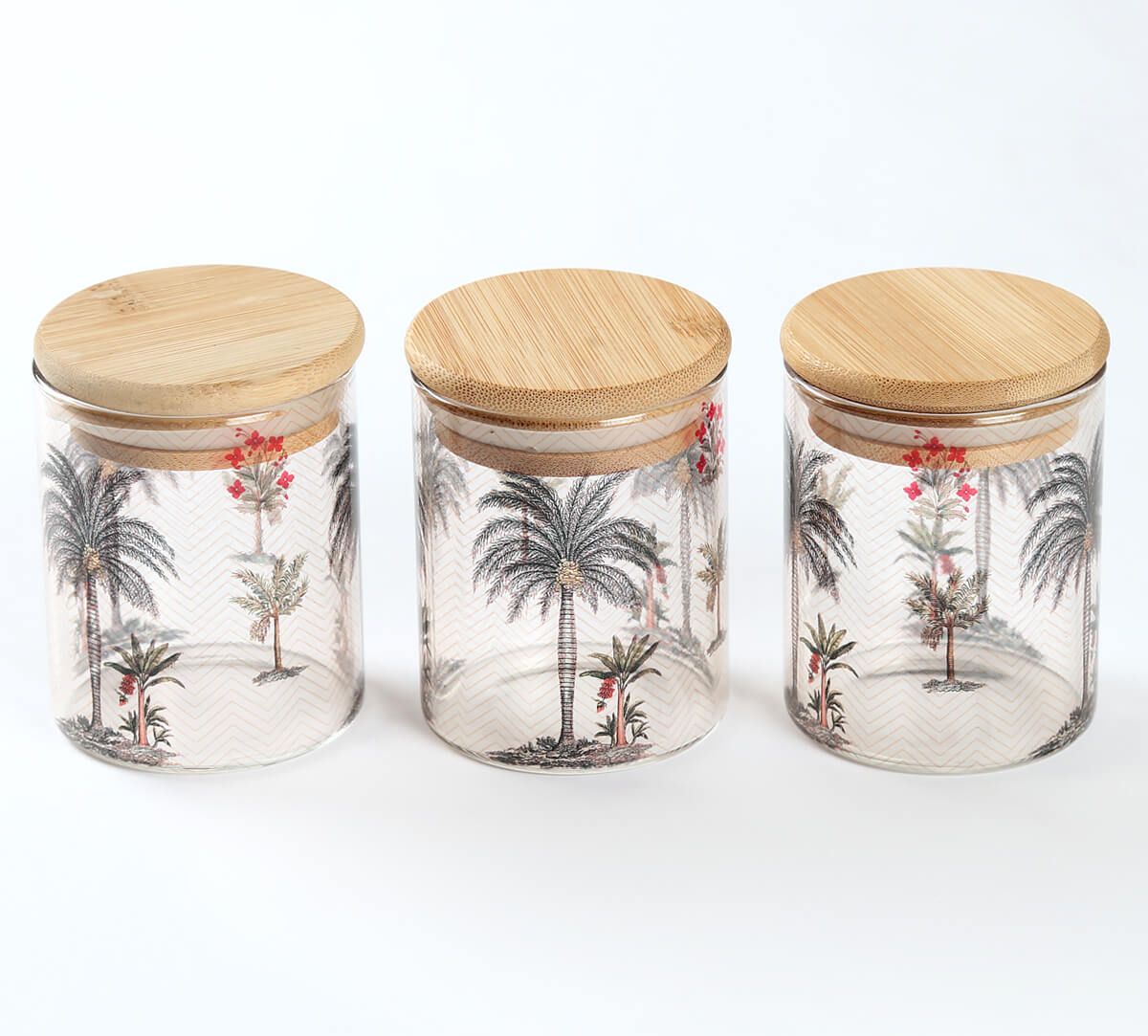 India Circus by Krsnaa Mehta Chevron Palms Glass Jars Set of 3