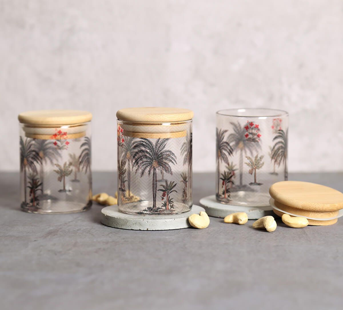 India Circus by Krsnaa Mehta Chevron Palms Glass Jars Set of 3