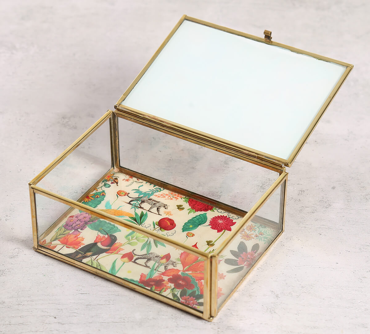 India Circus by Krsnaa Mehta Floral Kingdom Paradise Storage Box