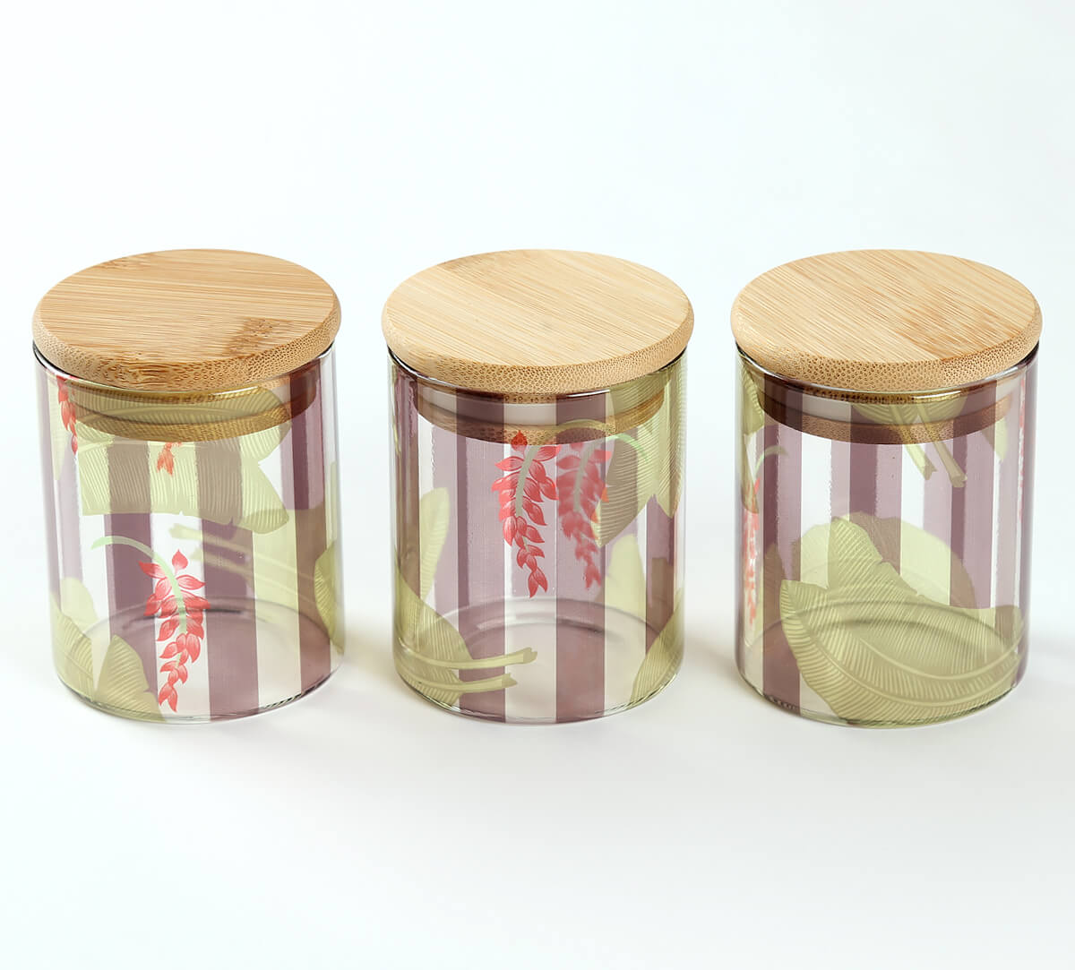 India Circus by Krsnaa Mehta Foliage Play Glass Jars Set of 3