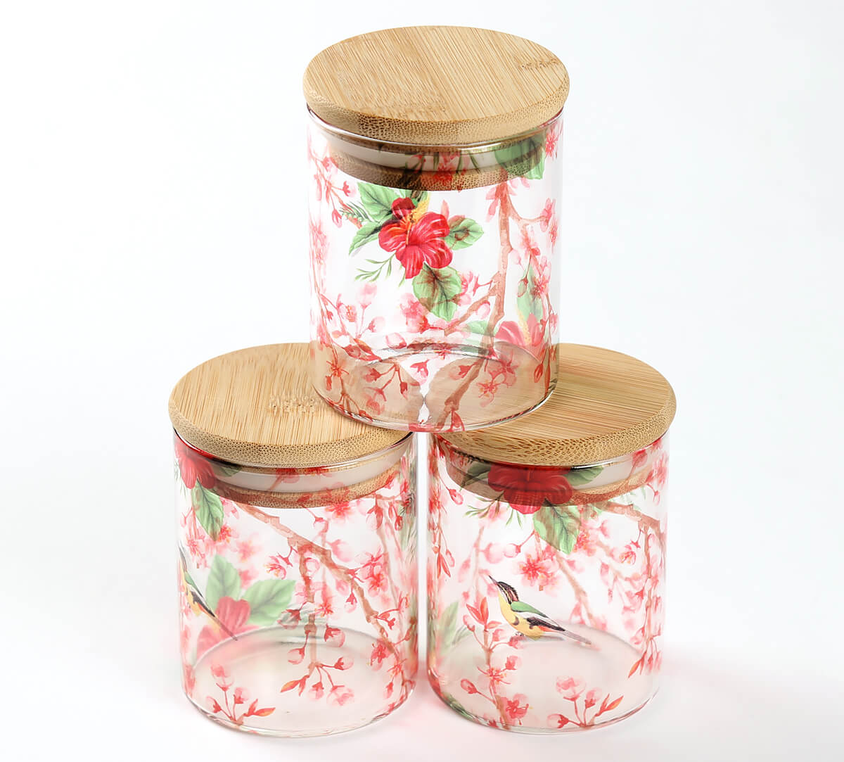 India Circus by Krsnaa Mehta Perching Floral Paradise Glass Jars Set of 3